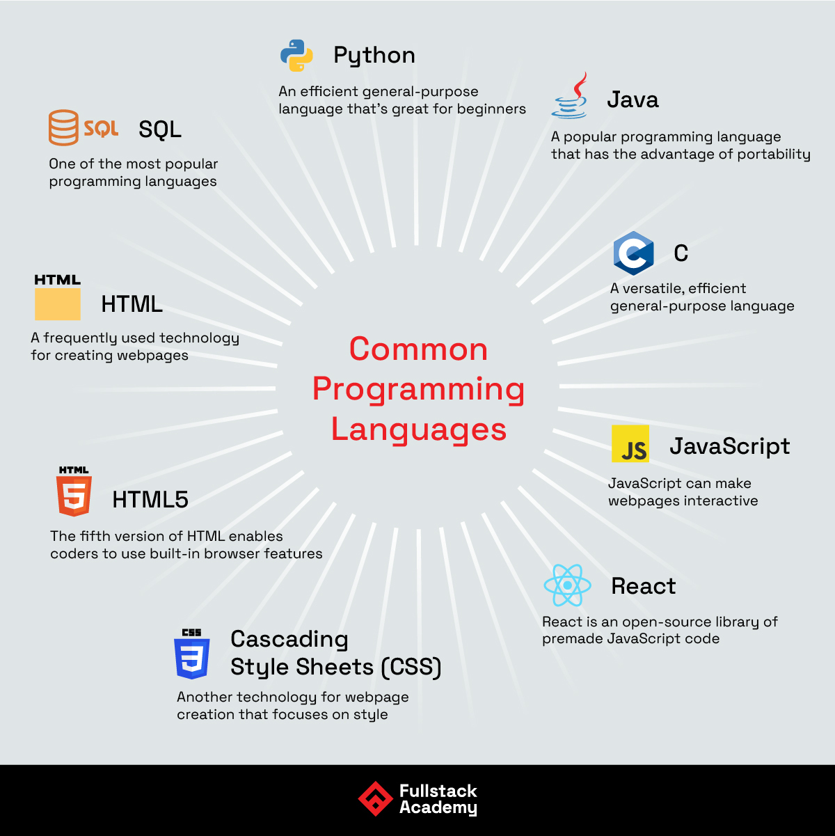 Common Programming Languages to learn